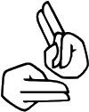 hands